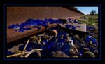 0103Broken Glass