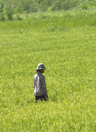 0120_DSC3343DSC_0170 Walking in the Fields