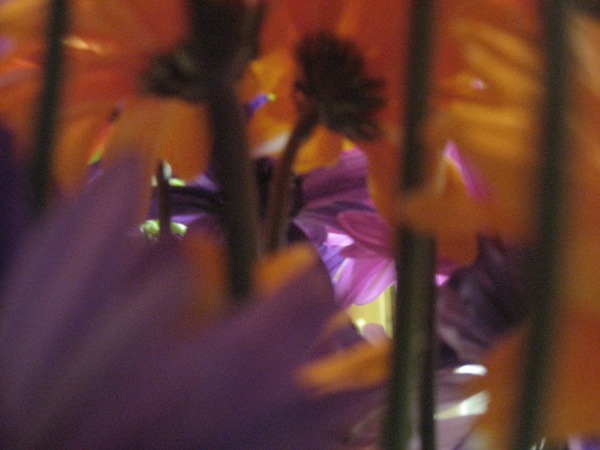 Flower Forest