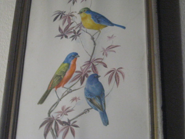 Bird 1