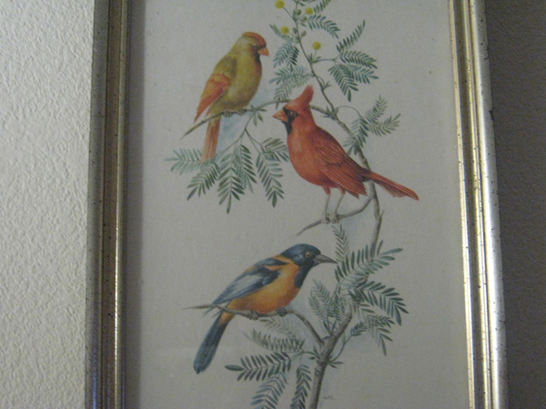 Bird 2