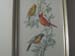 Bird 2