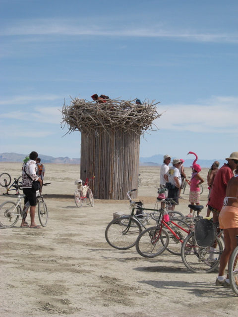 Bird's nest