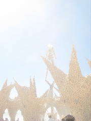 Peek-a-boo in the dust