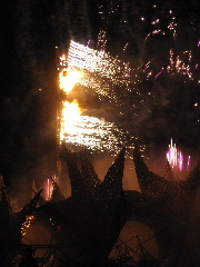IMG_1542.JPG