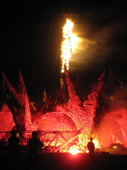 IMG_1556.JPG