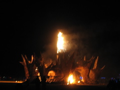 IMG_1560.JPG