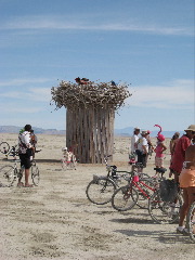 Bird's nest