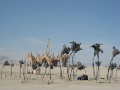 IMG_1402.JPG