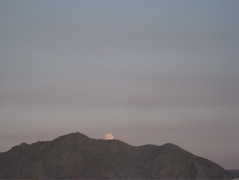 Moonrise - B-Man is nicer with a full moon!