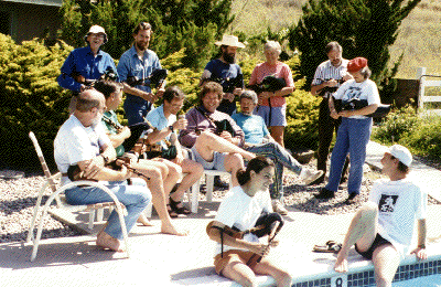 [School by the Pool]