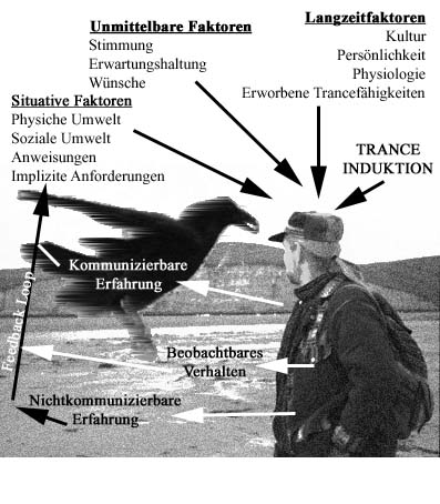 Trancefaktoren 2 Rabe.jpg