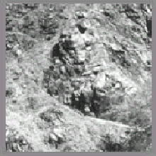 changingwoman2.gif