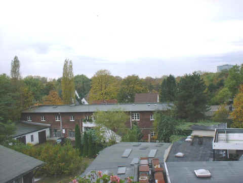 Out back.JPG (127719 bytes)