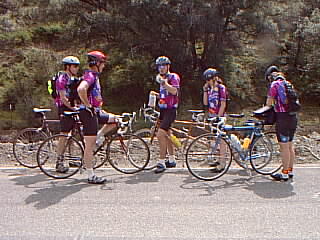 [IMAGE of Tom and Sarah on DMD]