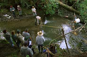 Demonstrating how to do a stream survey.