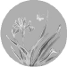 iristhin.jpg (11971 bytes)