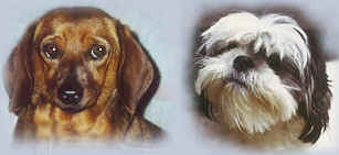 ween-lulu.jpg (34507 bytes)
