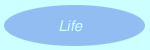 Life