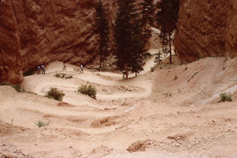 slides1987box331.jpg