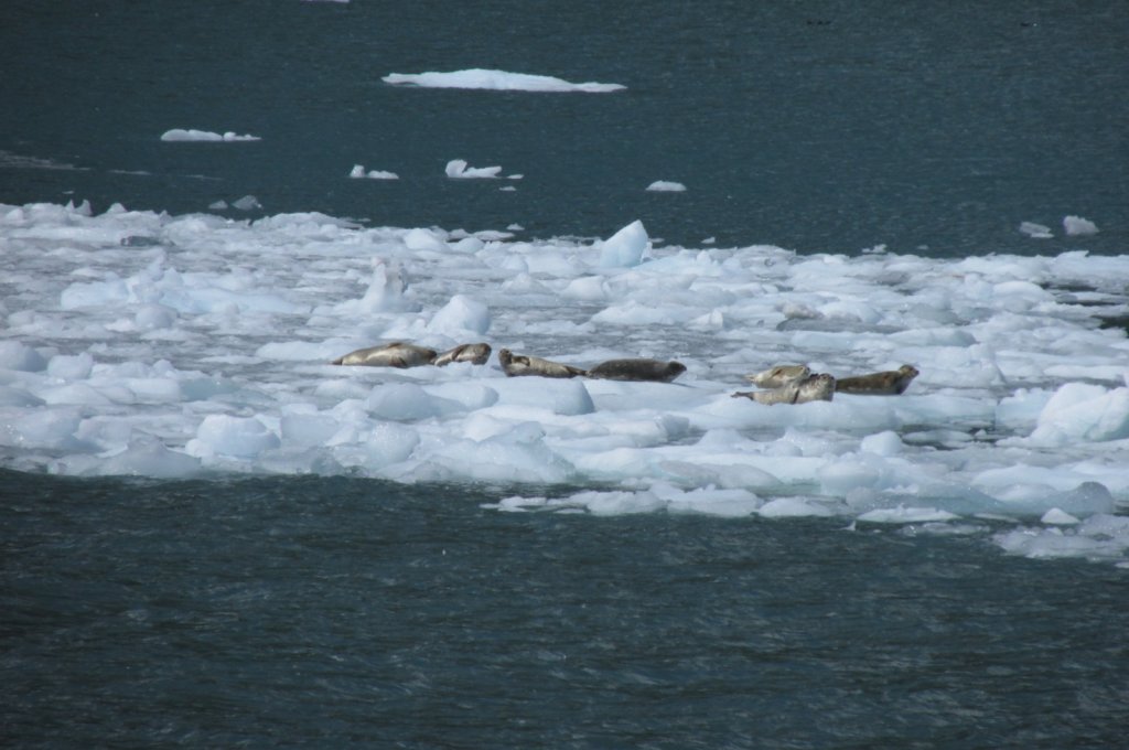 alaskajune201602280.jpg