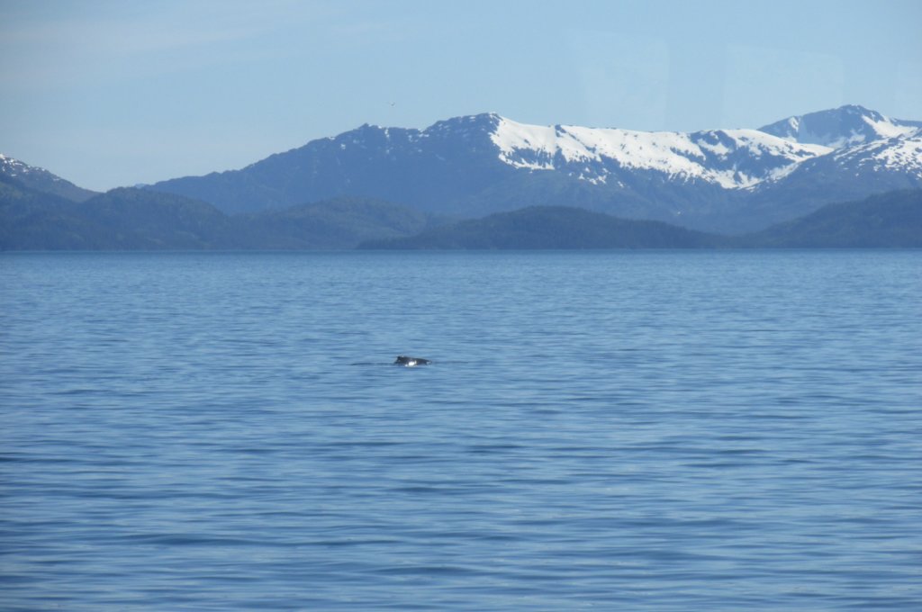 alaskajune201602790.jpg