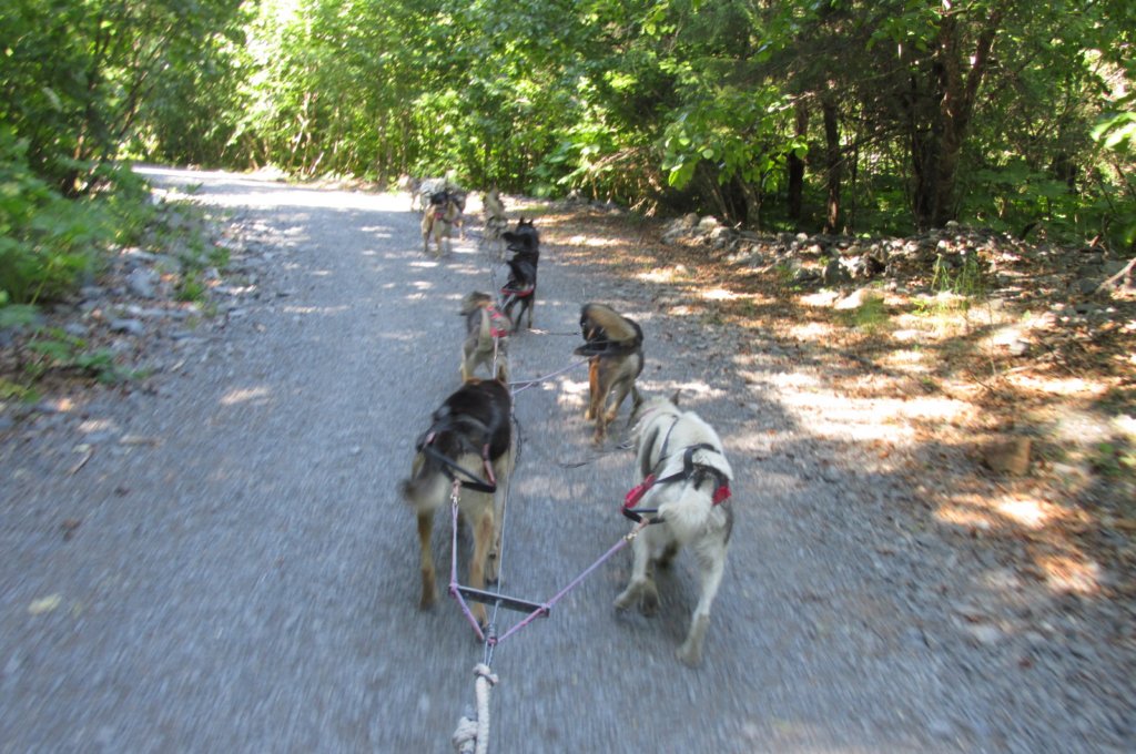 alaskajune201606820.jpg