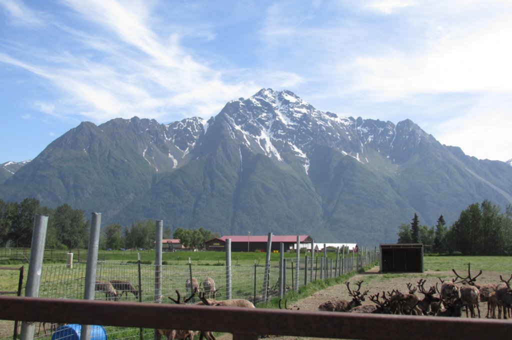alaskajune201608360.jpg
