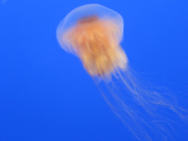 img_0979.jpg