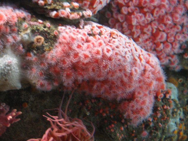img_1000.jpg