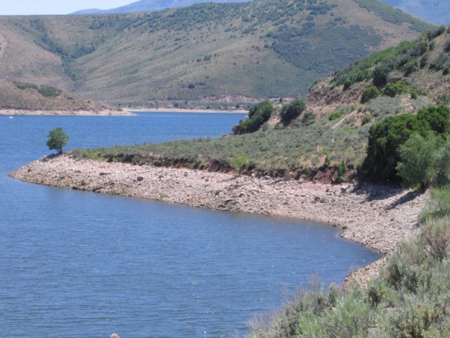 img_8736.jpg