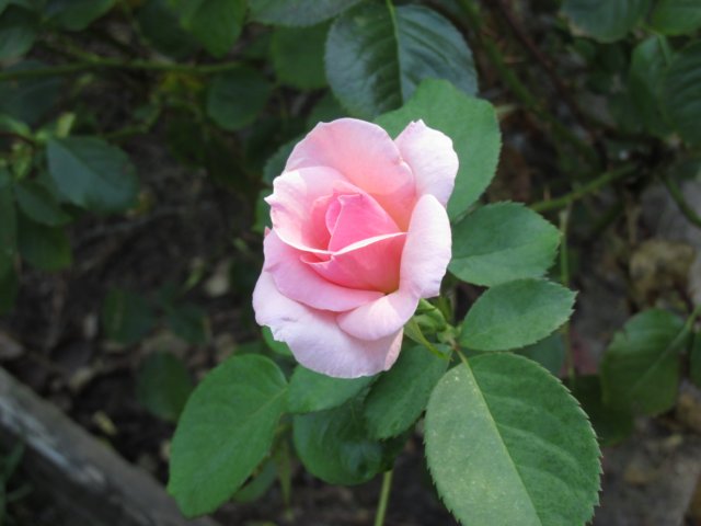 img_0789.jpg