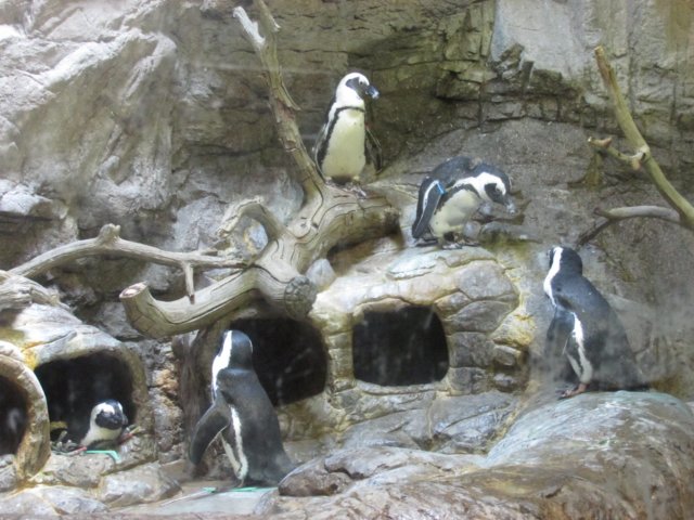 img_0954.jpg