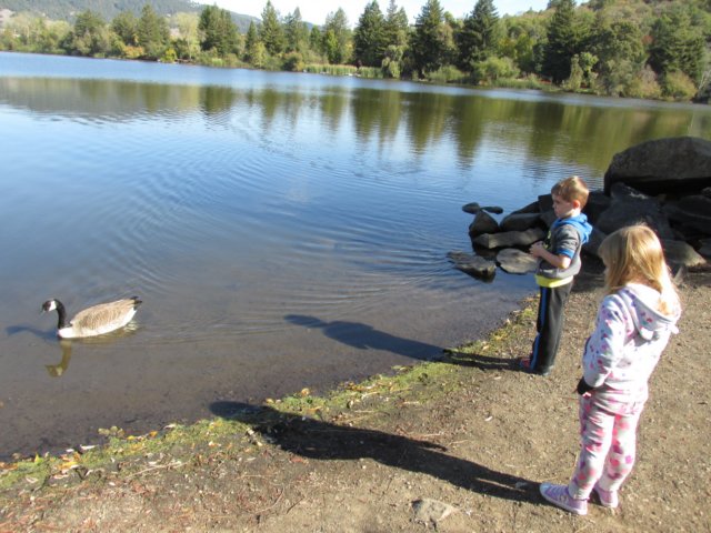 zachallistaynov20150580.jpg