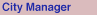 City Manager