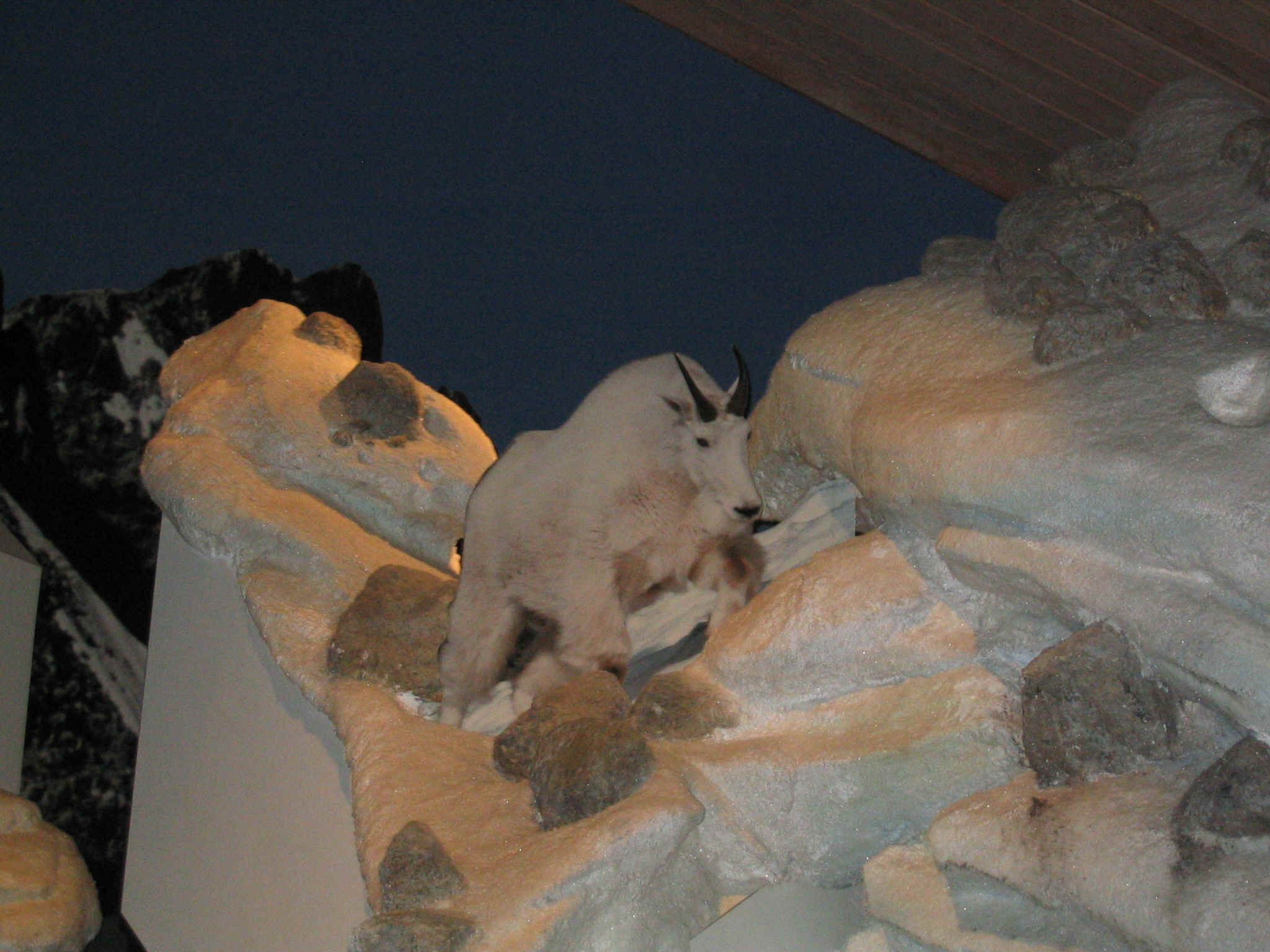 151_5114.JPG (855659 bytes)