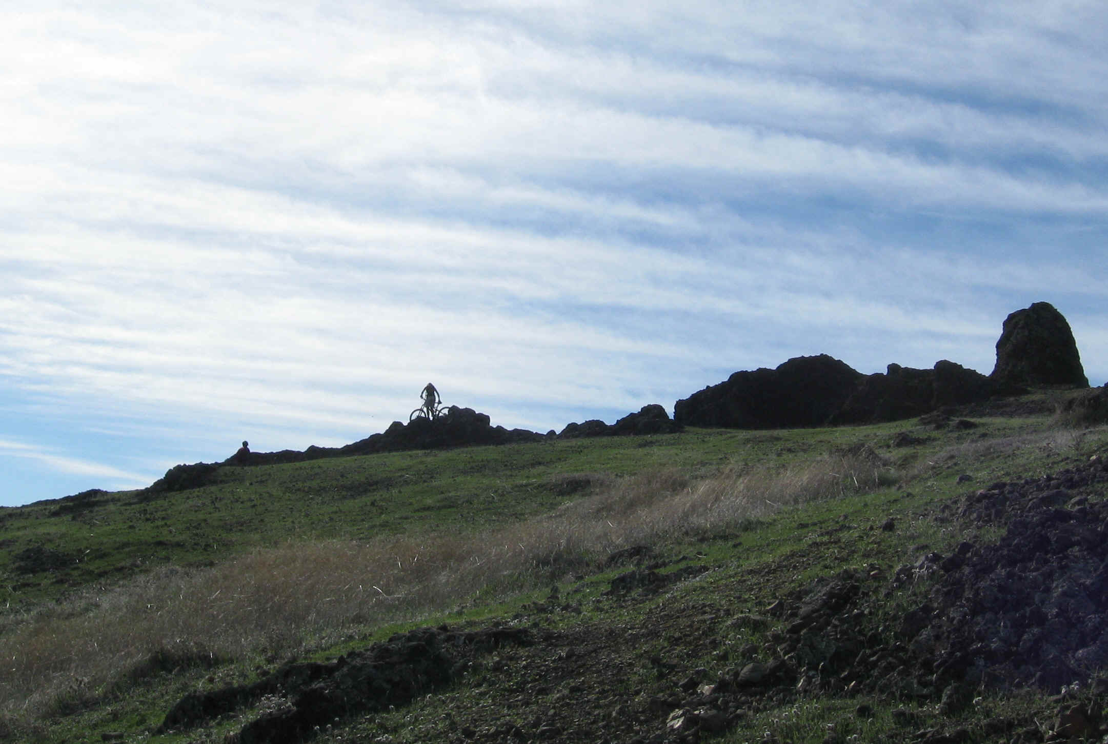 Beeline034.jpg (2627712 bytes)