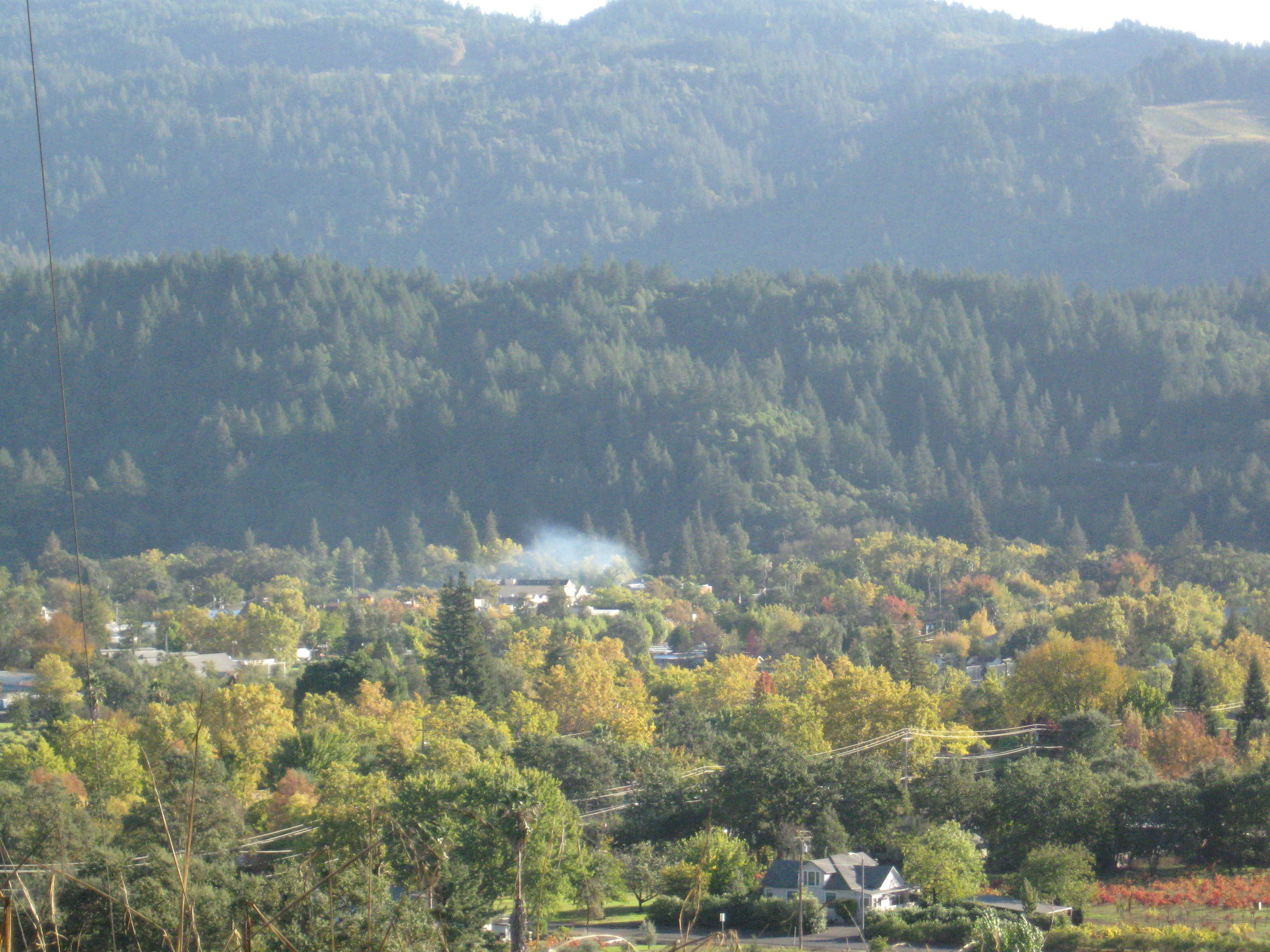 Beeline037.jpg (4871833 bytes)