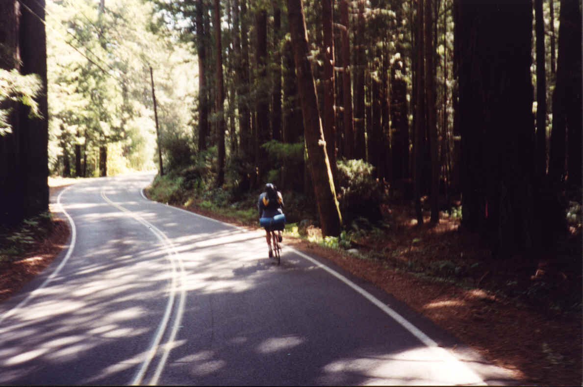 Double Comptche - Redwood road.BMP (2815206 bytes)