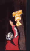 Downie - Signpost.BMP (2037174 bytes)