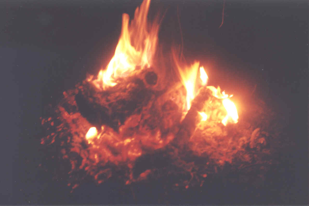 Fire Use - Glowing embers.BMP (2833046 bytes)