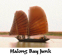 Junk Photo