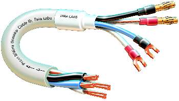 [Prism Bi-Wire]