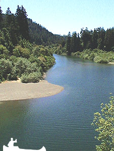 The Russian River