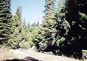 Sold Property