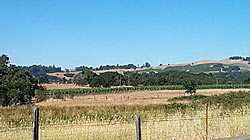 Bennett Valley photo by Michael Friedenberg