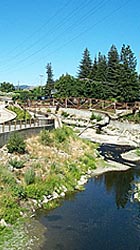 Santa Rosa photo by Michael Friedenberg