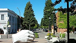 Downtown Santa Rosa, photo by Michael Friedenberg