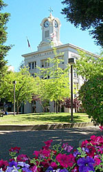 Downtown Santa Rosa, photo by Michael Friedenberg