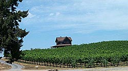 West County photo by Michael Friedenberg